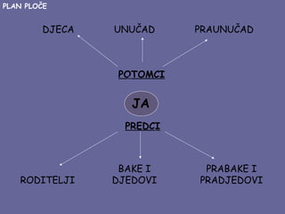 PLAN PLOČE

DJECA

UNUČAD

PRAUNUČAD

POTOMCI

JA
PREDCI

RODITELJI

BAKE I
DJEDOVI

PRABAKE I
PRADJEDOVI

 