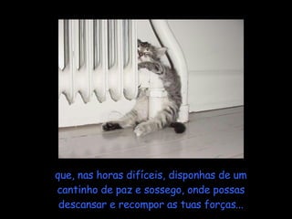 que, nas horas difíceis, disponhas de um cantinho de paz e sossego, onde possas descansar e recompor as tuas forças... 