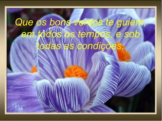 Que os bons ventos te guiem, em todos os tempos, e sob todas as condições. 