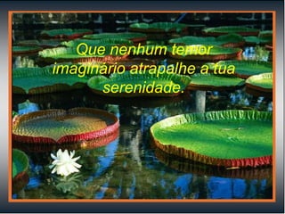 Que nenhum temor imaginário atrapalhe a tua serenidade. 