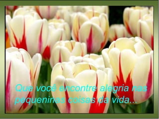 Que você encontre alegria nas pequeninas coisas da vida... 