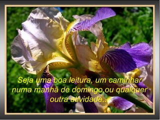 Seja uma boa leitura, um caminhar numa manhã de domingo,ou qualquer outra atividade... 