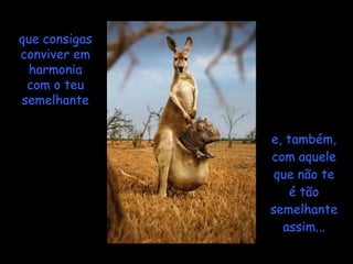 que consigas
conviver em
 harmonia
 com o teu
semelhante


               e, também,
               com aquele
                que não te
                   é tão
               semelhante
                 assim...
 