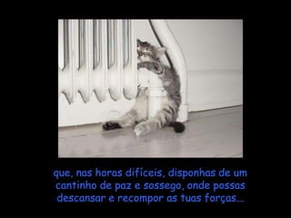 que, nas horas difíceis, disponhas de um
cantinho de paz e sossego, onde possas
 descansar e recompor as tuas forças...
 