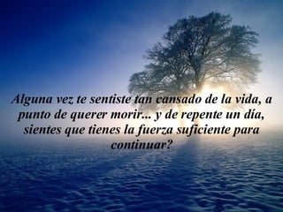 Algu n a vez te sentiste t an  cansado d e la  vida, a p u nto de querer mor i r...  y  de repente u n  d í a, s i entes que t i en e s  la  f uerz a suficiente para continuar? 