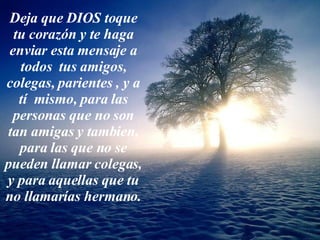 De j a  que  D IO S to que  tu cora zón   y  te  haga  enviar esta mensa je  a todos  tus amigos, colegas, par i entes ,  y  a  tí   m i smo, para  l as pe r so n as que no so n  t an  amigas  y tambien , para  las  que n o  se p ue de n   ll amar colega s ,  y  para aque l las que tu n o   ll amar í as  herman o. 