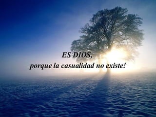 ES  D IO S,  porque  la casualidad no  existe! 