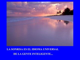 LA SONRISA ES EL IDIOMA UNIVERSAL   DE LA GENTE INTELIGENTE... 
