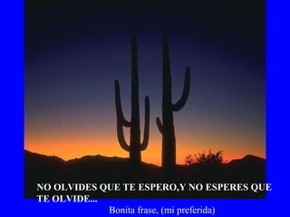 NO OLVIDES QUE TE ESPERO,Y NO ESPERES QUE TE OLVIDE... Bonita frase, (mi preferida) 