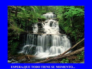 ESPERA,QUE TODO TIENE SU MOMENTO... 