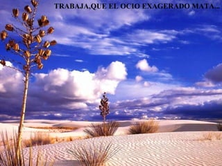 TRABAJA,QUE EL OCIO EXAGERADO MATA... 