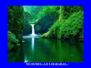 NO DUDES...LO LOGRARAS... 