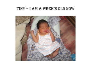 Tiny – I AM A weeK’S old Now 