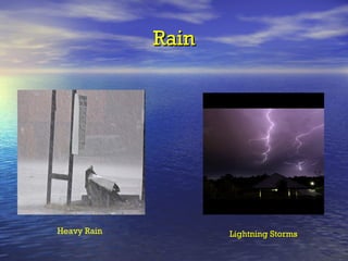Rain Heavy Rain Lightning Storms 