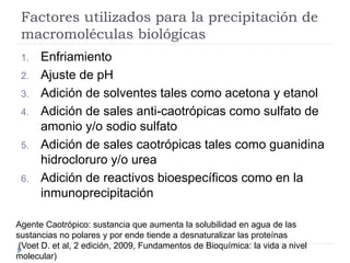 Factores utilizados para la precipitación de
macromoléculas biológicas
1. Enfriamiento
2. Ajuste de pH
3. Adición de solventes tales como acetona y etanol
4. Adición de sales anti-caotrópicas como sulfato de
amonio y/o sodio sulfato
5. Adición de sales caotrópicas tales como guanidina
hidrocloruro y/o urea
6. Adición de reactivos bioespecíficos como en la
inmunoprecipitación
Agente Caotrópico: sustancia que aumenta la solubilidad en agua de las
sustancias no polares y por ende tiende a desnaturalizar las proteínas
(Voet D. et al, 2 edición, 2009, Fundamentos de Bioquímica: la vida a nivel
molecular)
 