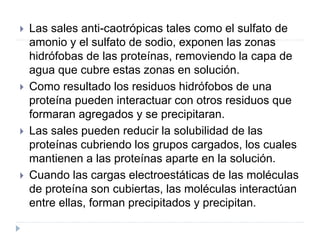  Las sales anti-caotrópicas tales como el sulfato de
amonio y el sulfato de sodio, exponen las zonas
hidrófobas de las proteínas, removiendo la capa de
agua que cubre estas zonas en solución.
 Como resultado los residuos hidrófobos de una
proteína pueden interactuar con otros residuos que
formaran agregados y se precipitaran.
 Las sales pueden reducir la solubilidad de las
proteínas cubriendo los grupos cargados, los cuales
mantienen a las proteínas aparte en la solución.
 Cuando las cargas electroestáticas de las moléculas
de proteína son cubiertas, las moléculas interactúan
entre ellas, forman precipitados y precipitan.
 