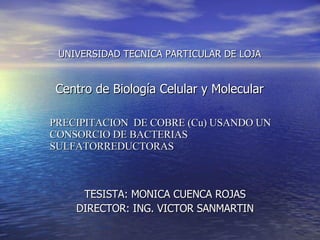 UNIVERSIDAD TECNICA PARTICULAR DE LOJA Centro de Biología Celular y Molecular TESISTA: MONICA CUENCA ROJAS DIRECTOR: ING. VICTOR SANMARTIN PRECIPITACION  DE COBRE (Cu) USANDO UN CONSORCIO DE BACTERIAS SULFATORREDUCTORAS 