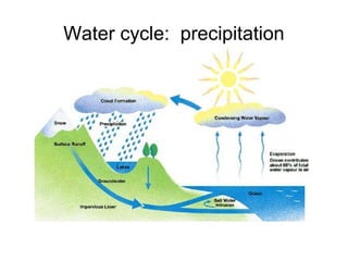 Water cycle: precipitation
 