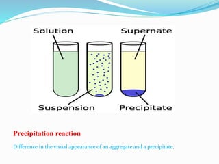 Difference in the visual appearance of an aggregate and a precipitate.
Precipitation reaction
 