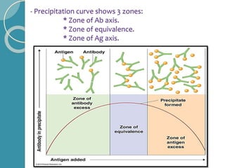 - Precipitation curve shows 3 zones:
* Zone of Ab axis.
* Zone of equivalence.
* Zone of Ag axis.
 