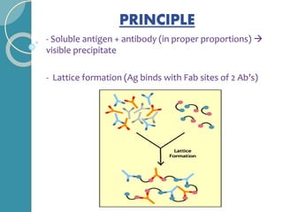 PRINCIPLE
- Soluble antigen + antibody (in proper proportions) 
visible precipitate
- Lattice formation (Ag binds with Fab sites of 2 Ab’s)
 