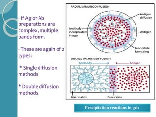 - If Ag or Ab
preparations are
complex, multiple
bands form.
- These are again of 2
types:
* Single diffusion
methods
* Double diffusion
methods.
Precipitation reactions in gels
 