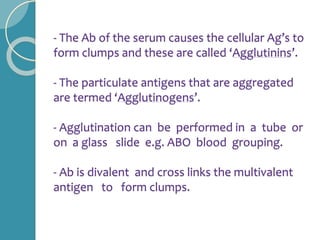 - The Ab of the serum causes the cellular Ag’s to
form clumps and these are called ‘Agglutinins’.
- The particulate antigens that are aggregated
are termed ‘Agglutinogens’.
- Agglutination can be performed in a tube or
on a glass slide e.g. ABO blood grouping.
- Ab is divalent and cross links the multivalent
antigen to form clumps.
 