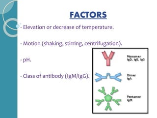 FACTORS
- Elevation or decrease of temperature.
- Motion (shaking, stirring, centrifugation).
- pH.
- Class of antibody (IgM/IgG).
 