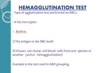 HEMAGGLUTINATION TEST
- Type of agglutination test performed on RBCs.
- It has two types:
1. Active:
i) The antigen is the RBC itself.
ii) Viruses can clump red blood cells from one species or
another (active hemagglutination)
Example is the test used in ABO grouping.
 