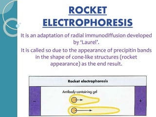ROCKET
ELECTROPHORESIS
It is an adaptation of radial immunodiffusion developed
by ‘Laurel’.
It is called so due to the appearance of precipitin bands
in the shape of cone-like structures (rocket
appearance) as the end result.
 
