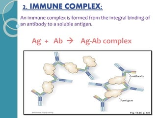 2. IMMUNE COMPLEX:
An immune complex is formed from the integral binding of
an antibody to a soluble antigen.
Ag + Ab  Ag-Ab complex
 