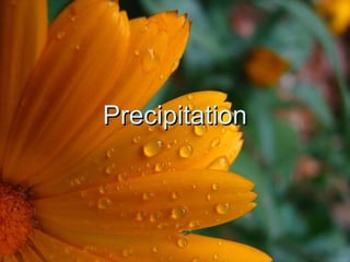 PrecipitationPrecipitation
 
