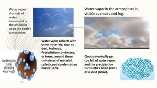 Precipitation | PPT