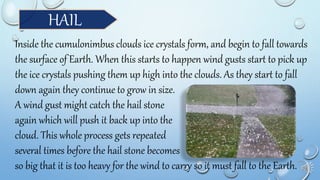 HAIL
Inside the cumulonimbus clouds ice crystals form, and begin to fall towards
the surface of Earth. When this starts to happen wind gusts start to pick up
the ice crystals pushing them up high into the clouds. As they start to fall
down again they continue to grow in size.
A wind gust might catch the hail stone
again which will push it back up into the
cloud. This whole process gets repeated
several times before the hail stone becomes
so big that it is too heavy for the wind to carry so it must fall to the Earth.
 