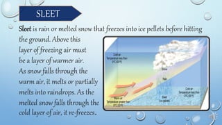 SLEET
Sleet is rain or melted snow that freezes into ice pellets before hitting
the ground. Above this
layer of freezing air must
be a layer of warmer air.
As snow falls through the
warm air, it melts or partially
melts into raindrops. As the
melted snow falls through the
cold layer of air, it re-freezes.
 