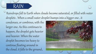 RAIN
Raindrops fall to Earth when clouds become saturated, or filled with water
droplets . When a small water droplet bumps into a bigger one , it
condenses, or combines, with the
larger one. As this continues to
happen, the droplet gets heavier
and heavier. When the water
droplet becomes too heavy to
continue floating around in
the cloud, it falls to the ground.
 