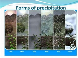 Praecipitatio Precipitation.pptx Precipitation of rain | PPTX