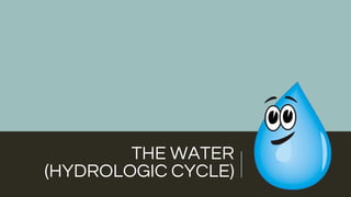 THE WATER
(HYDROLOGIC CYCLE)
 