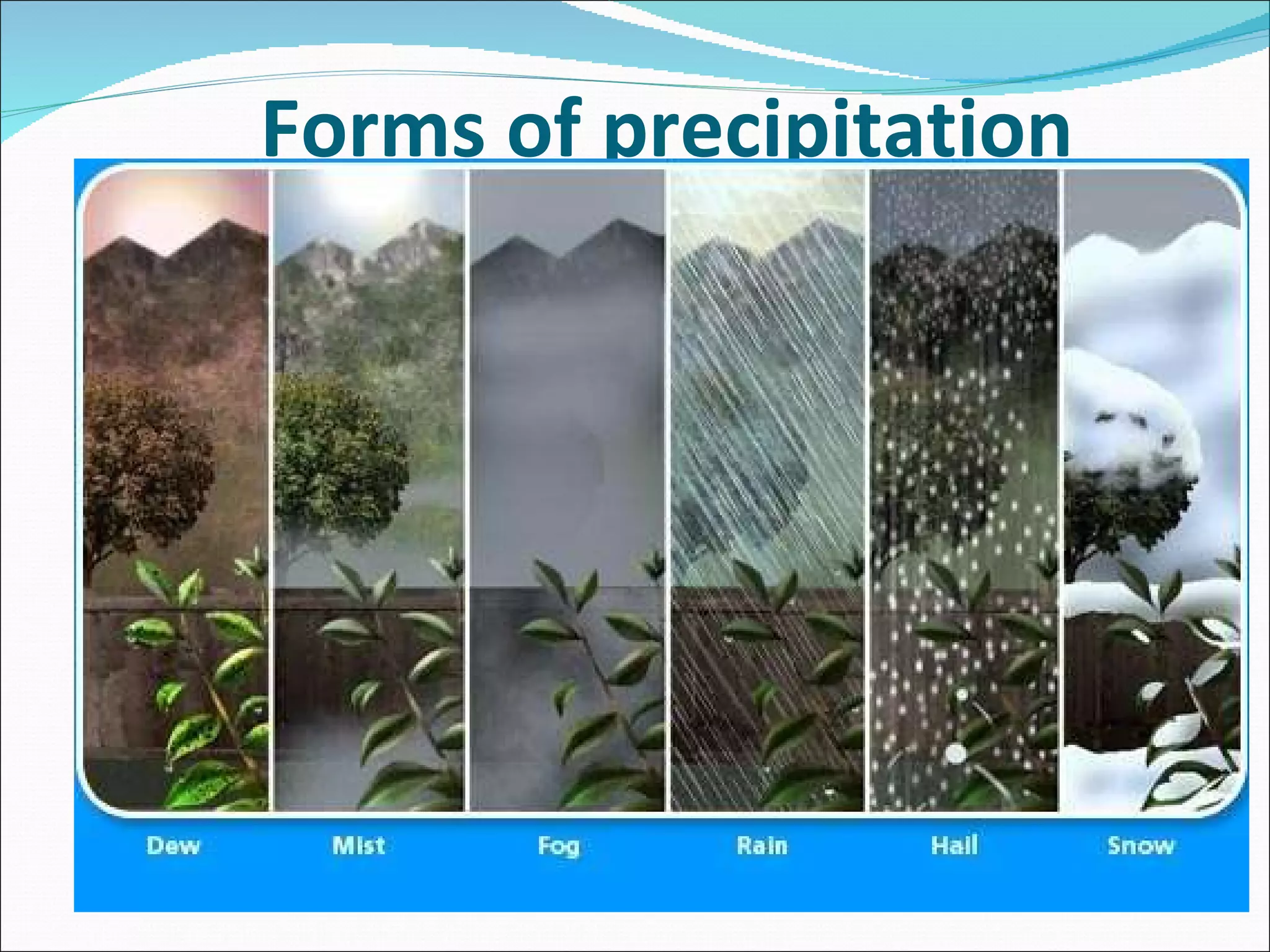 Forms of precipitation 