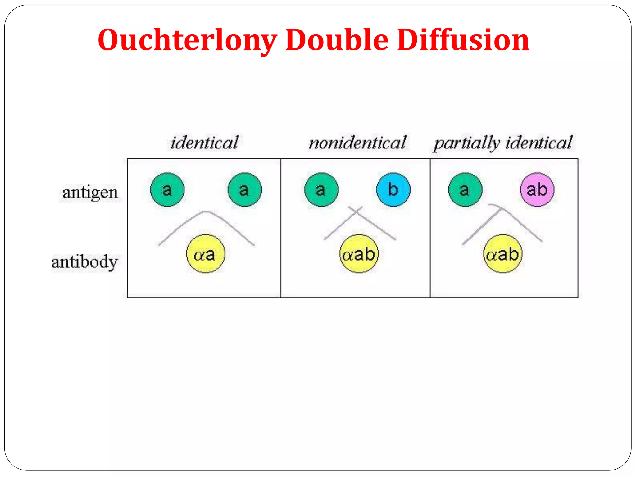 Ouchterlony Double Diffusion
 