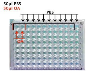 50µl PBS
50µl OA
           PBS




      OA
 