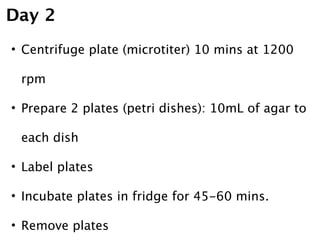 Day 2
• Centrifuge plate (microtiter) 10 mins at 1200

 rpm

• Prepare 2 plates (petri dishes): 10mL of agar to

 each dish

• Label plates

• Incubate plates in fridge for 45-60 mins.

• Remove plates
 
