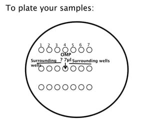 To plate your samples:



          1   2   3   4   5   6   7

                  OMP
      Surrounding ? 7µl Surrounding wells
      wells
 