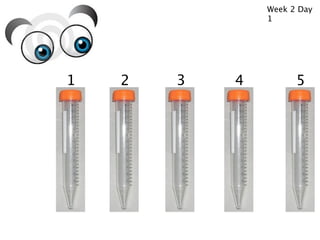 Week 2 Day
                1




1   2   3   4         5
 