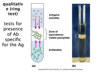 qualitativ
 e (ring
  test)

 tests for
 presence
   of Ab
  speciﬁc
for the Ag
 