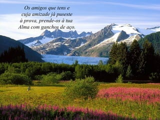Os amigos que tens e
cuja amizade já puseste
à prova, prende-os à tua
Alma com ganchos de aço.
 