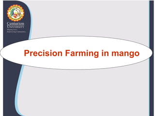 Precision Farming in mango
 