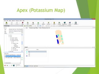 Apex (Potassium Map)
 