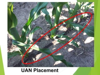 UAN Placement
 