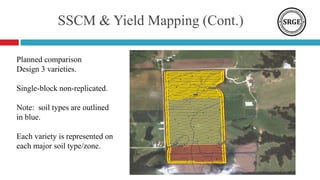 SSCM & Yield Mapping (Cont.)
Planned comparison
Design 3 varieties.
Single-block non-replicated.
Note: soil types are outlined
in blue.
Each variety is represented on
each major soil type/zone.
 